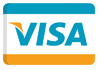 visa支付